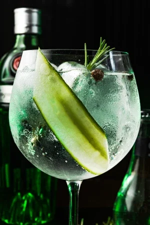 Gin Constantino - Foto do Coquetel